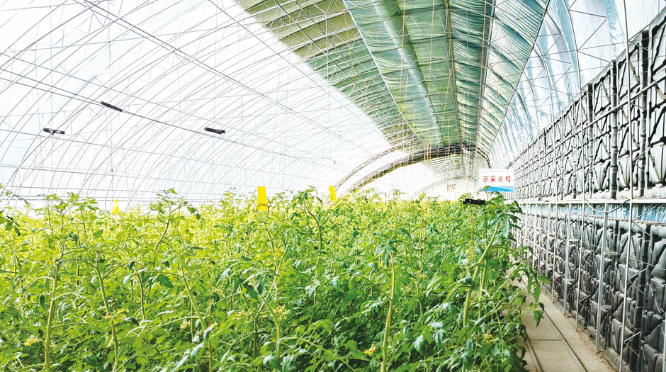 石拐網(wǎng)站4圖940.jpg 石拐網(wǎng)站4圖940.jpg