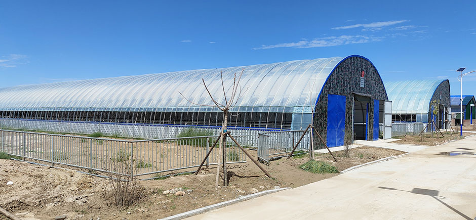 準(zhǔn)旗羊場(chǎng)網(wǎng)站2圖940.jpg 準(zhǔn)旗羊場(chǎng)網(wǎng)站2圖940.jpg