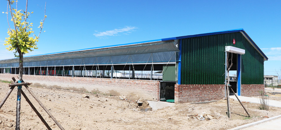 準(zhǔn)旗羊場(chǎng)網(wǎng)站3圖940.jpg 準(zhǔn)旗羊場(chǎng)網(wǎng)站3圖940.jpg