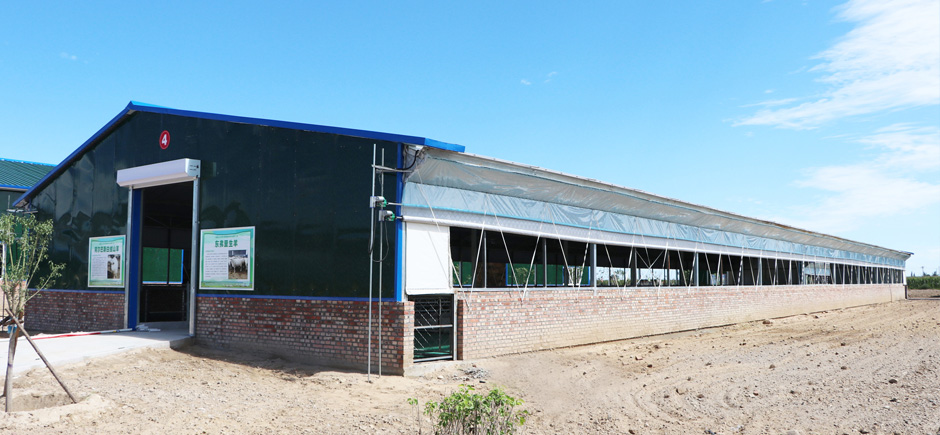 準(zhǔn)旗羊場(chǎng)網(wǎng)站4圖940.jpg 準(zhǔn)旗羊場(chǎng)網(wǎng)站4圖940.jpg