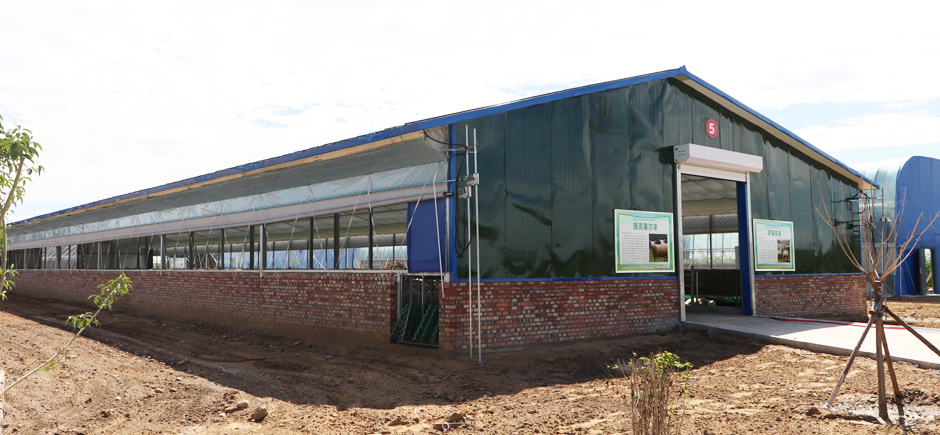 準(zhǔn)旗羊場(chǎng)網(wǎng)站6圖940.jpg 準(zhǔn)旗羊場(chǎng)網(wǎng)站6圖940.jpg