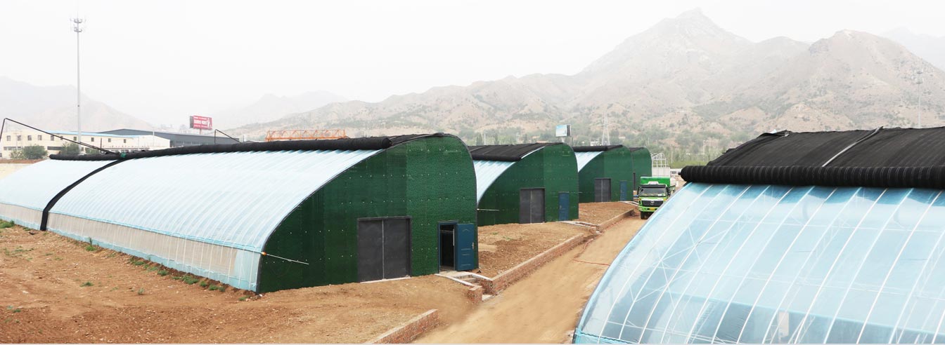 東棚子村蔬菜種植基地_03.jpg