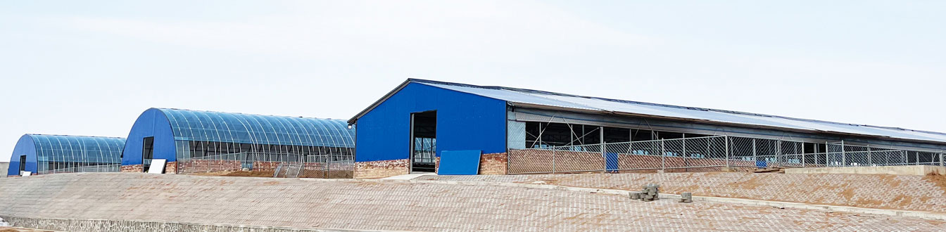 黃花灘村肉羊育繁推一體化養(yǎng)殖項(xiàng)目_08.jpg 黃花灘村肉羊育繁推一體化養(yǎng)殖項(xiàng)目_08.jpg