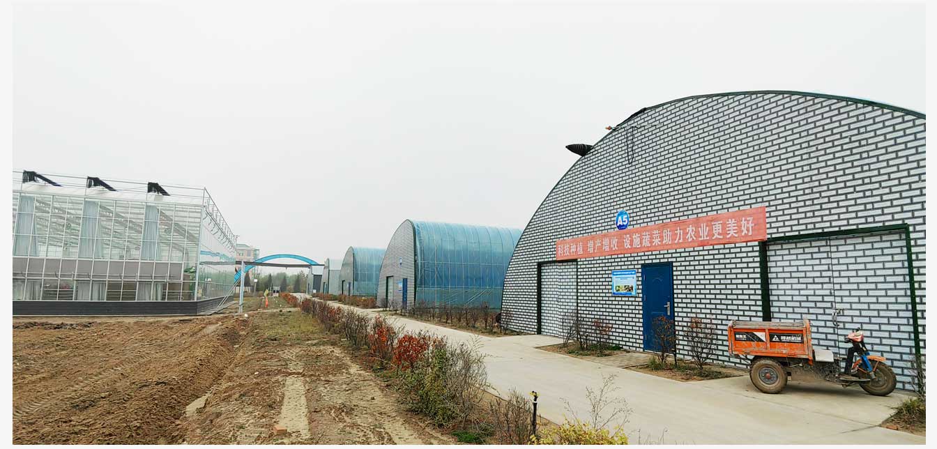 準格爾旗現(xiàn)代智慧設(shè)施農(nóng)業(yè)產(chǎn)業(yè)園（網(wǎng)頁）_28.jpg