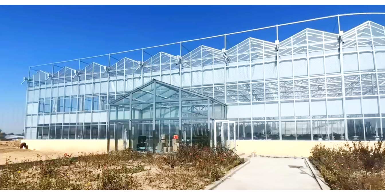 大路鎮(zhèn)苗家灘社區(qū)項(xiàng)目-智能溫室、日光溫室建設(shè)項(xiàng)目_13.jpg