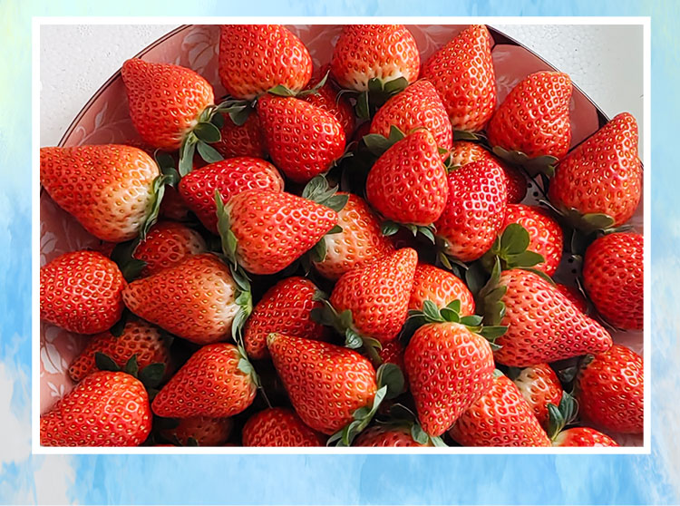 草莓1920網(wǎng)50像素2025年3月12日網(wǎng)頁_08.jpg 草莓1920網(wǎng)50像素2025年3月12日網(wǎng)頁_08.jpg