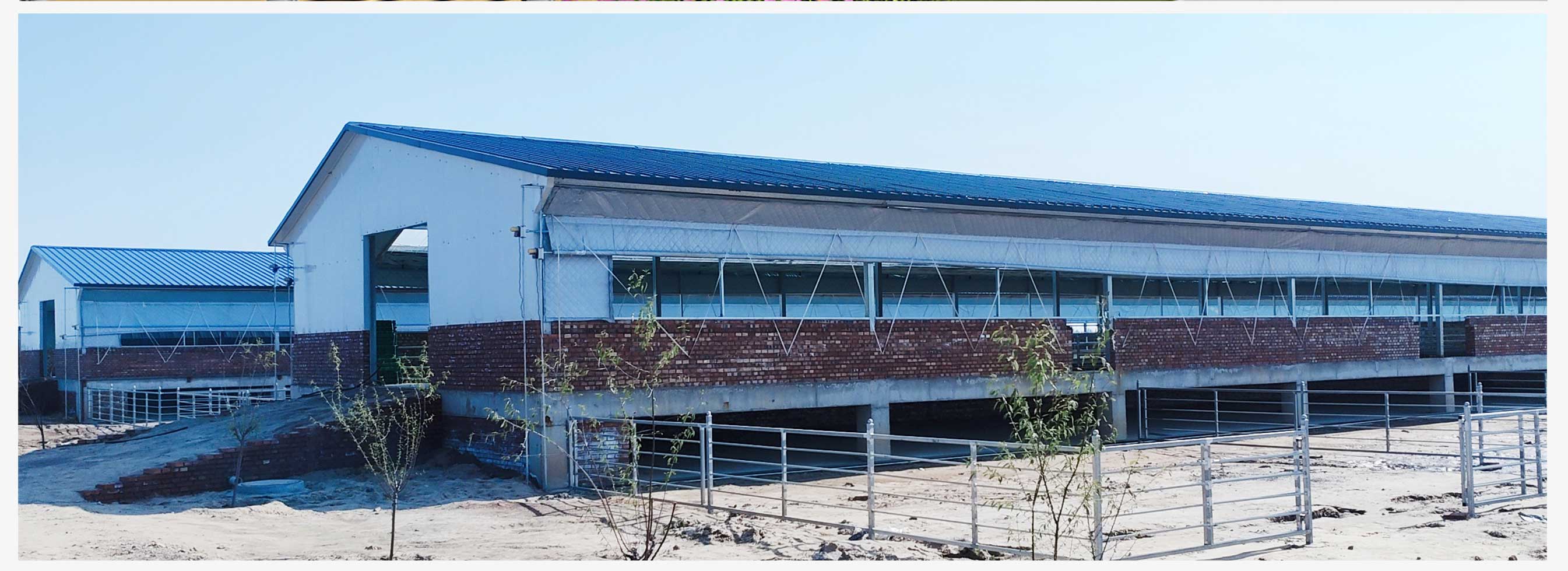 土默特右旗現(xiàn)代智慧設(shè)施肉羊產(chǎn)業(yè)技術(shù)創(chuàng)新園區(qū)(園區(qū)版)_07.jpg 土默特右旗現(xiàn)代智慧設(shè)施肉羊產(chǎn)業(yè)技術(shù)創(chuàng)新園區(qū)(園區(qū)版)_07.jpg