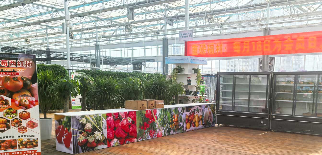 自治區(qū)綠色優(yōu)質(zhì)果蔬展銷中心psd-恢復(fù)的_12.jpg