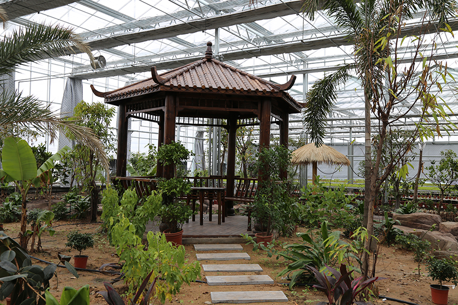 undefined 內(nèi)蒙古智能溫室