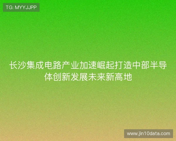 长沙集成电路产业加速崛起打造中部半导体创新发展未来新高地