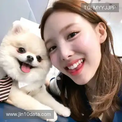 单进飙